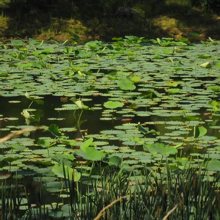 Belrepayre Airstream Glamping