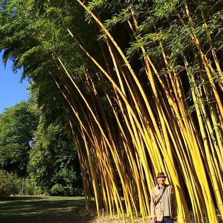 Couette-café Belrepayre Airstream Glamping Manses