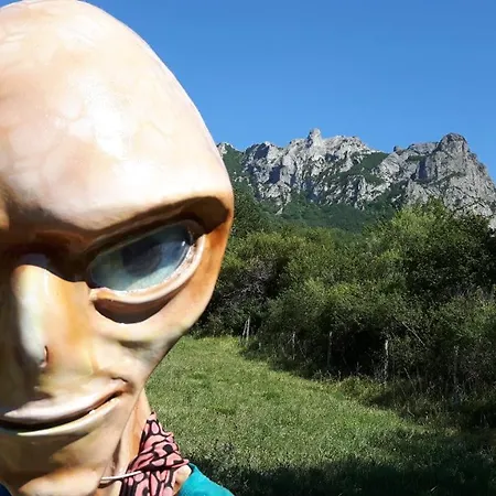 Belrepayre Airstream Glamping Bed & Breakfast