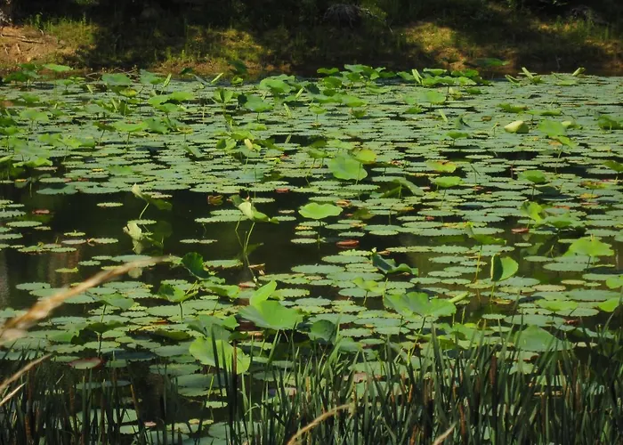 Belrepayre Airstream Glamping