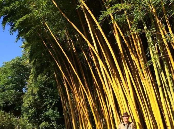 Nocleg ze śniadaniem Belrepayre Airstream Glamping Manses